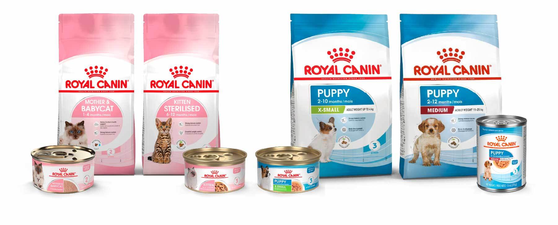 Royal Canin - OBTÉN BONO REGALO